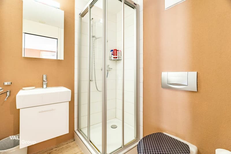 Exklusive 5.5-Zimmer-Terrassenwohnung mit Lift direkt in die Wohnung - privilegierte Aussichtslage in Visp (13)