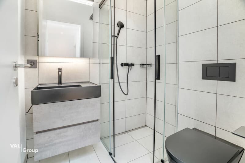 Einzigartige 4.5-Zimmer-Attikawohnung in Visp - modernes Wohnen mit bester Aussicht (12)