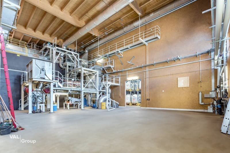 Bâtiment industriel unique - Construction en bois haut de gamme, utilisation polyvalente (4)