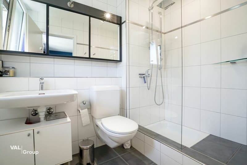 Exklusives 6.5-Zimmer-Reihen Einfamilienhaus in Amriswil (9)