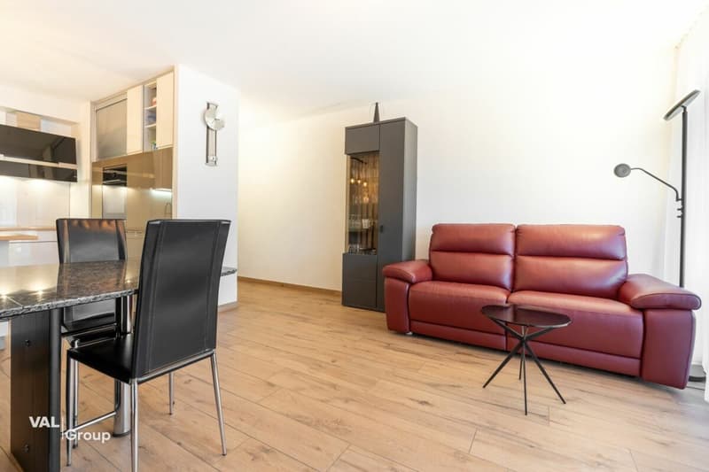 Appartement rénové, résidence secondaire ou investissement (3)