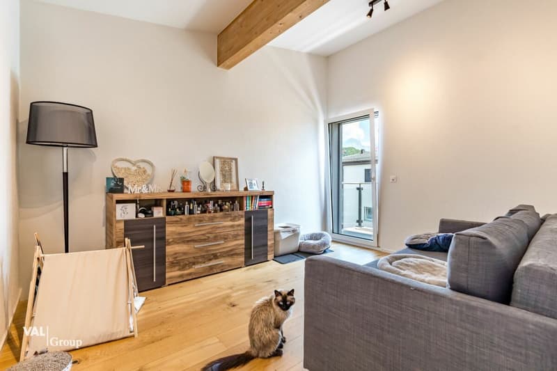 Magnifique duplex 4.5 pièces avec jardin, terrasses et place de parc souterraine incluse (9)