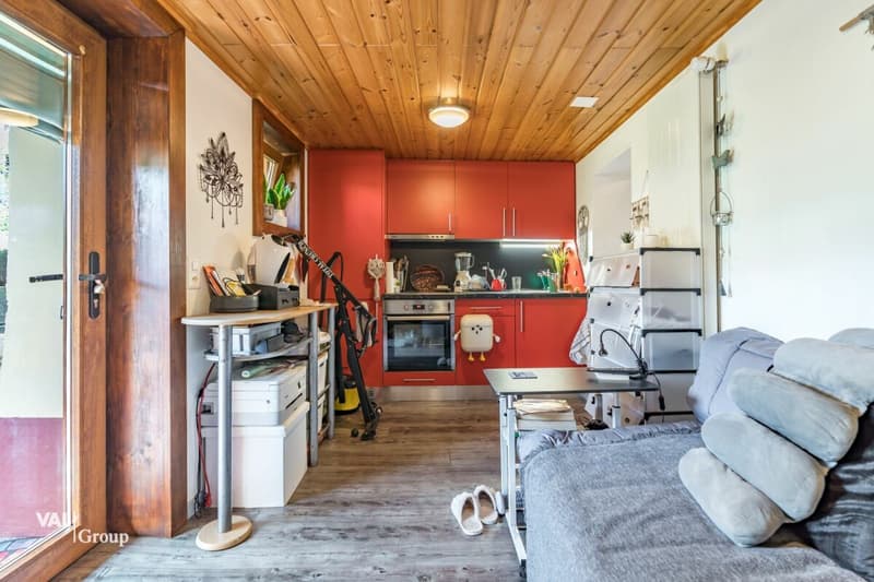 Charmant petit chalet avec spacieux jardin, en plein coeur du village (10)