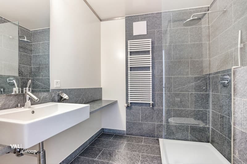 Attique en duplex avec terrasse sur le toit, au coeur de la ville (9)
