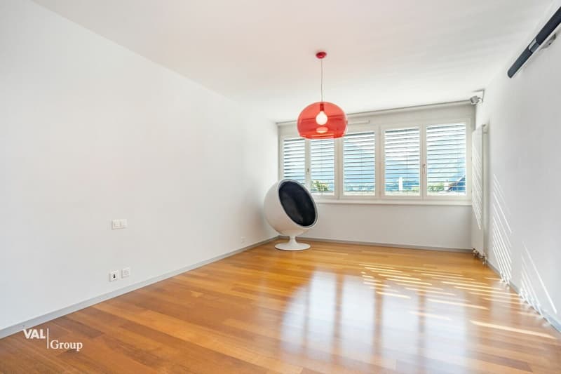 Attique en duplex avec terrasse sur le toit, au coeur de la ville (10)