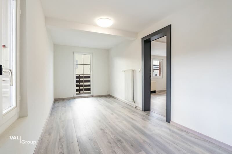 Charmant appartement rénové (5)