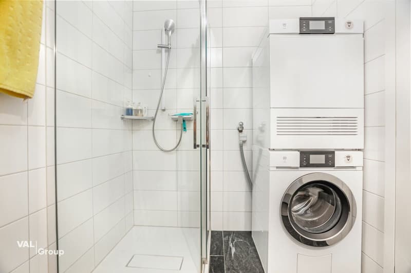 Zentrale Mietwohnung mit modernem Wohngefühl (13)