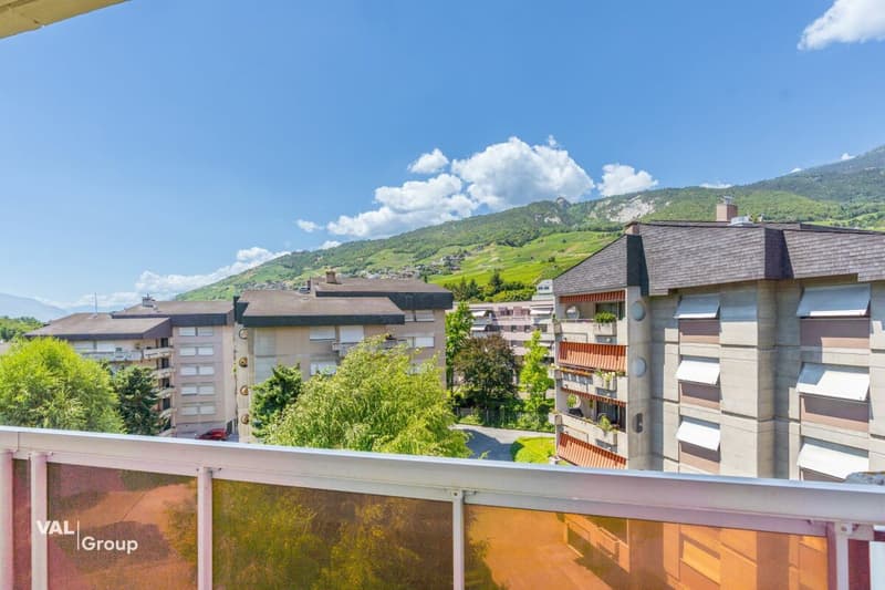 Bel appartement à moderniser (13)