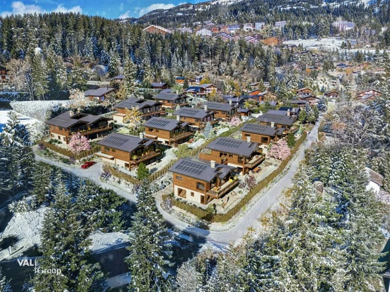 "Les Perles" : un projet exclusif dans les Alpes suisses (9)