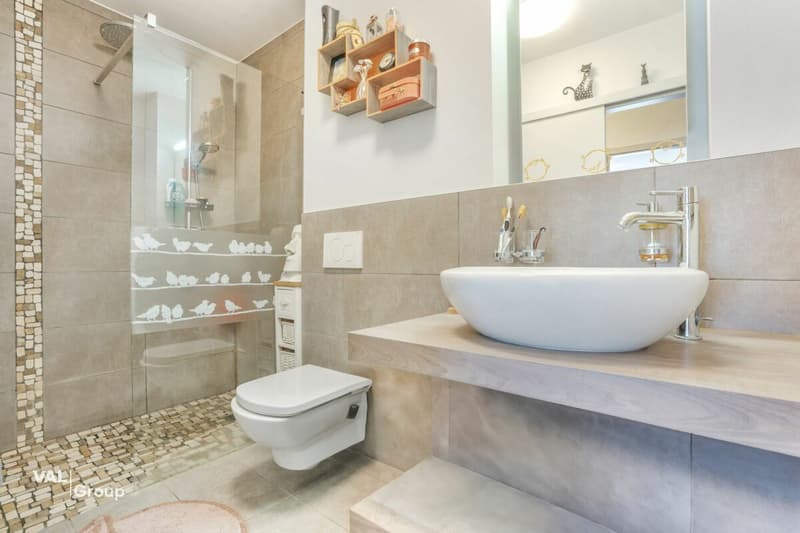 Chaleureux appartement orienté sud (8)