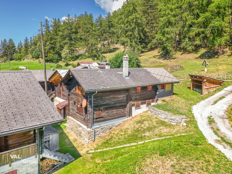 In der Stille der Natur zuhause - 3.5-Zimmer-Wohnung im Salwald (1)