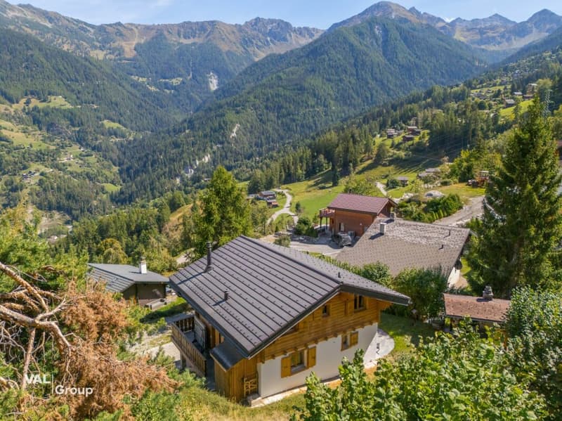 Vue, confort et bien-être! Superbe chalet meublé à La Tzoumaz (3)