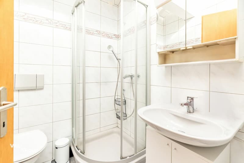 4.5 Zimmer-Dachwohnung mit Ausblick (8)