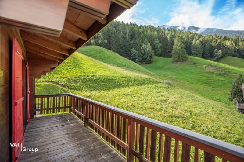 Wohnen mitten im Grünen mit viel Ruhe und Lebensqualität (13)