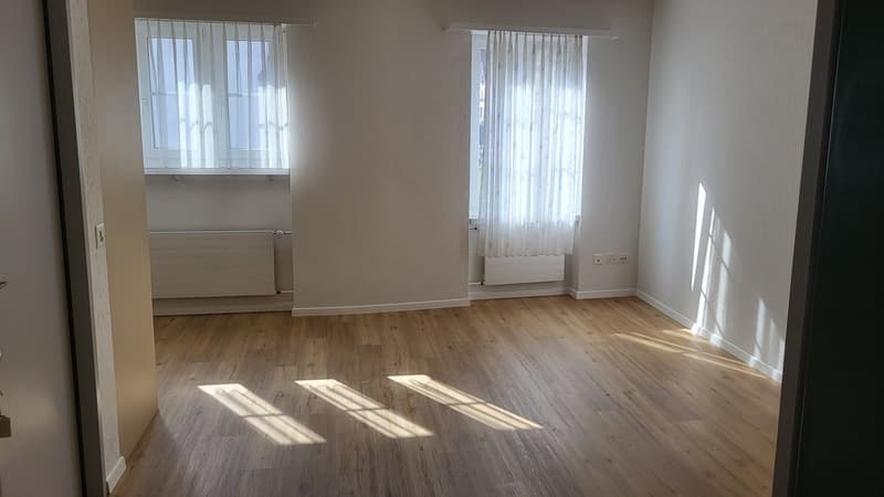 Gemütliches 1-Zimmer-Apartment im Altbau, Bremgarten AG (3)