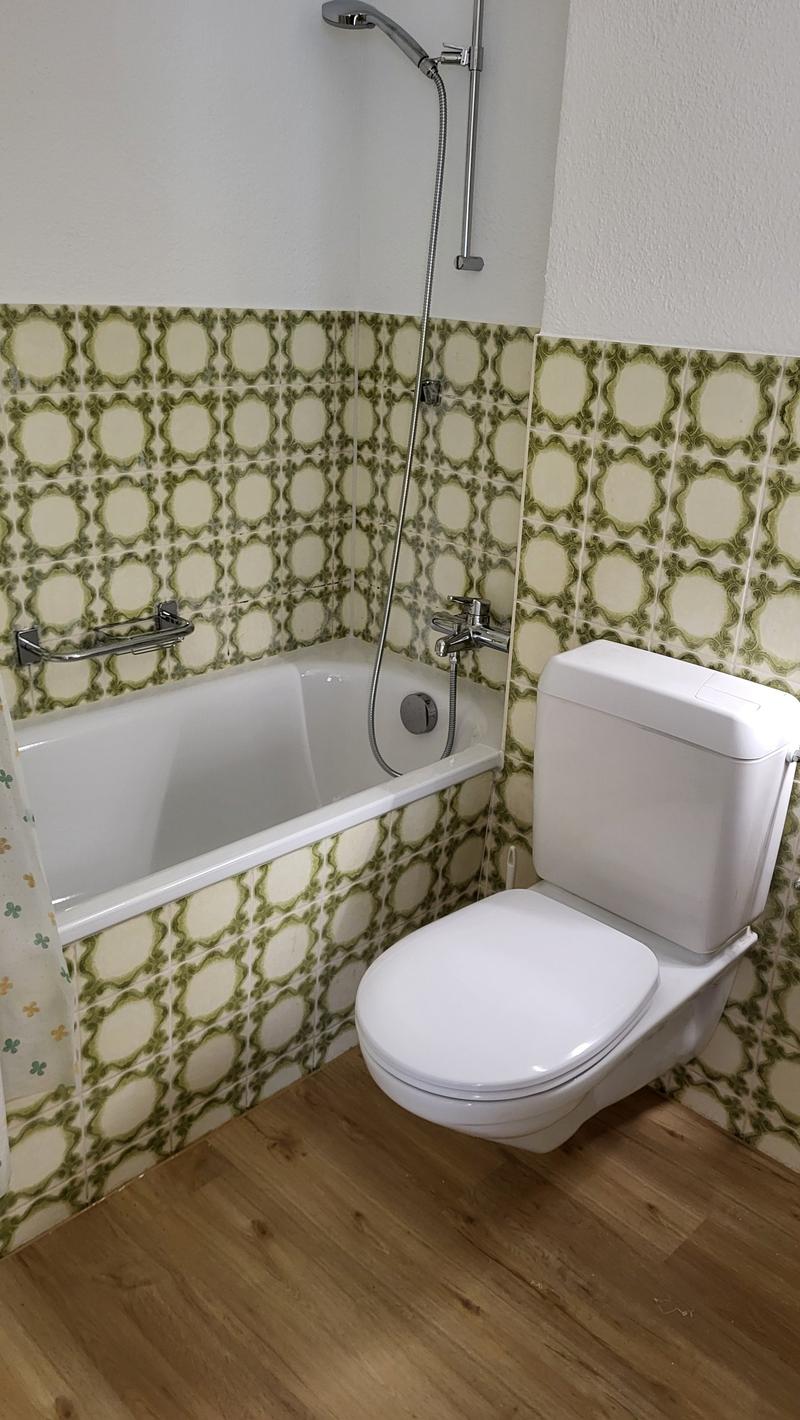 Gemütliches 1-Zimmer-Apartment im Altbau, Bremgarten AG (4)