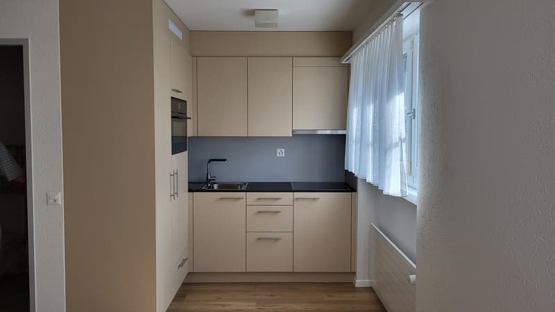 Gemütliches 1-Zimmer-Apartment im Altbau, Bremgarten AG (2)
