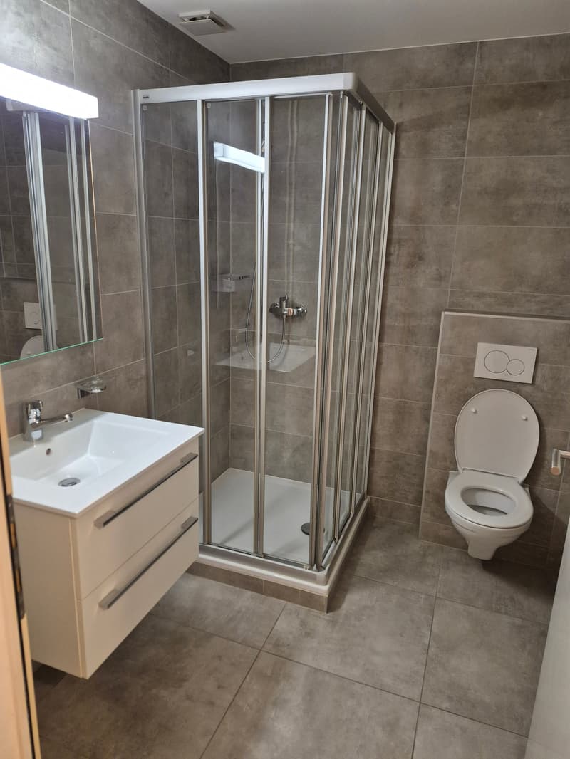 Appartement lumineux de 4 pièces à louer à Eclépens (4)