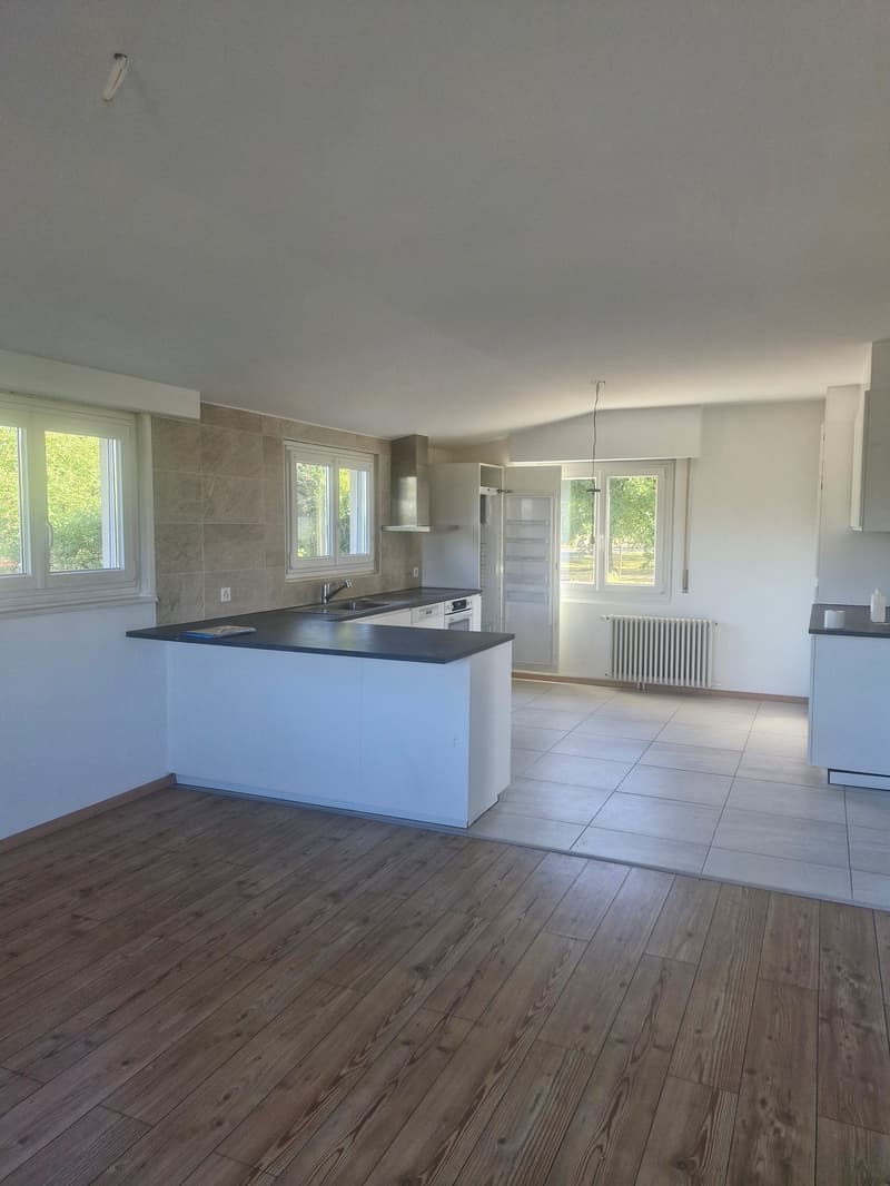 Appartement de 5.5 pièces lumineux (2)