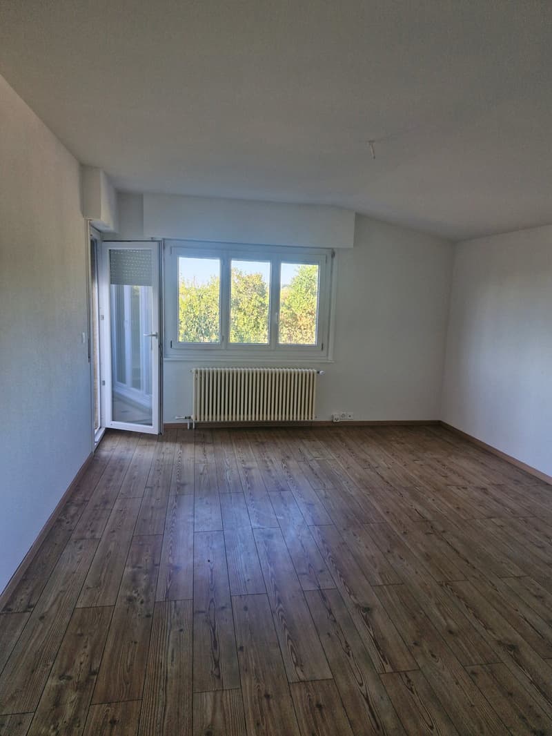 Appartement de 5.5 pièces lumineux (3)