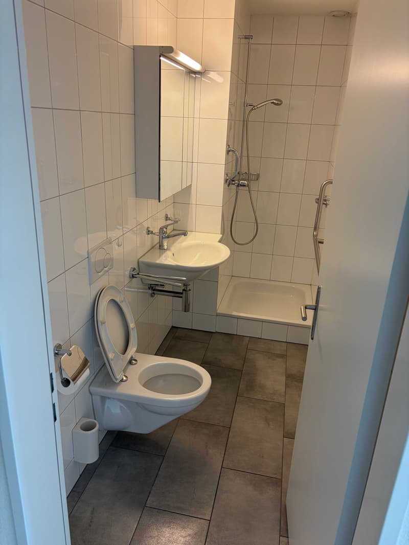 Geräumige 4.5-Zimmer-Erdgeschosswohnung in Bremgarten – sofort verfügbar (16)