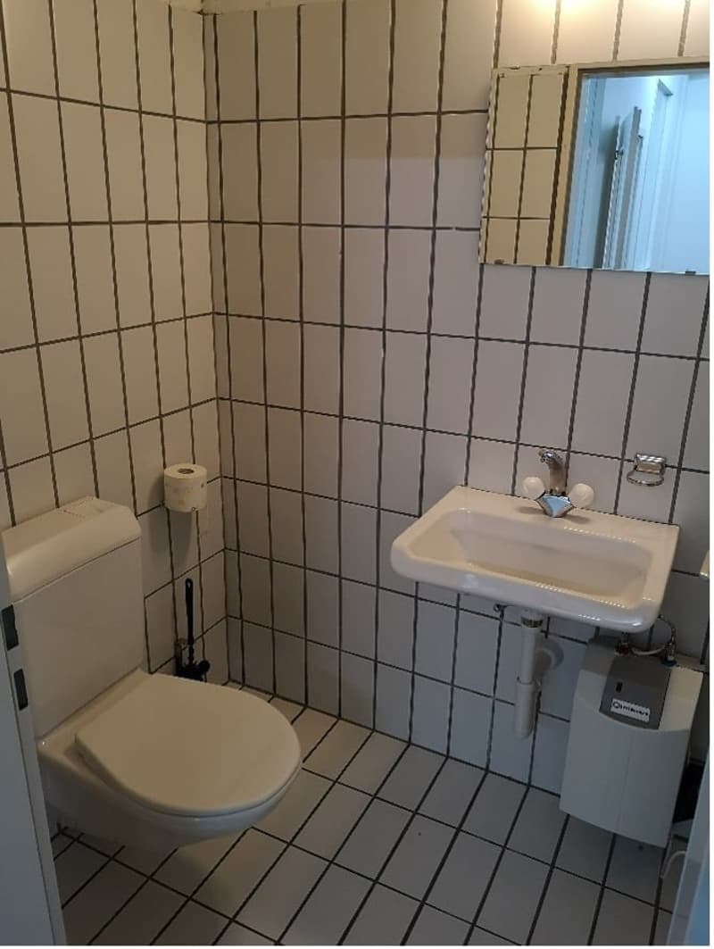 Vielseitige Gewerbeimmobilie in zentraler Lage von Dietikon (11)
