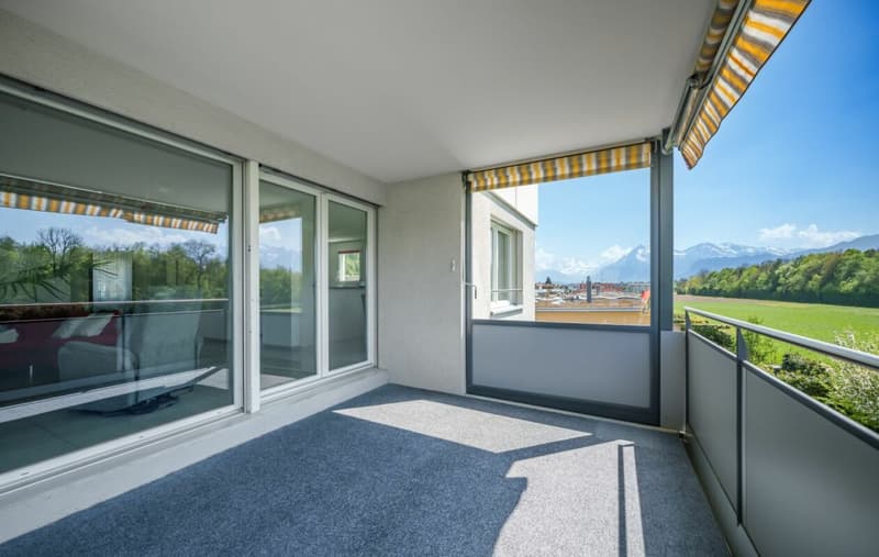 Wohnung mit Alpensicht zu verkaufen (10)