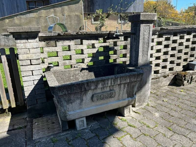 Interessantes Mehrfamilienhaus zu verkaufen (6)
