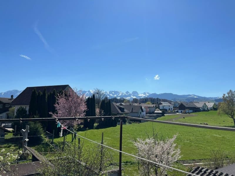 Interessantes Mehrfamilienhaus zu verkaufen (12)