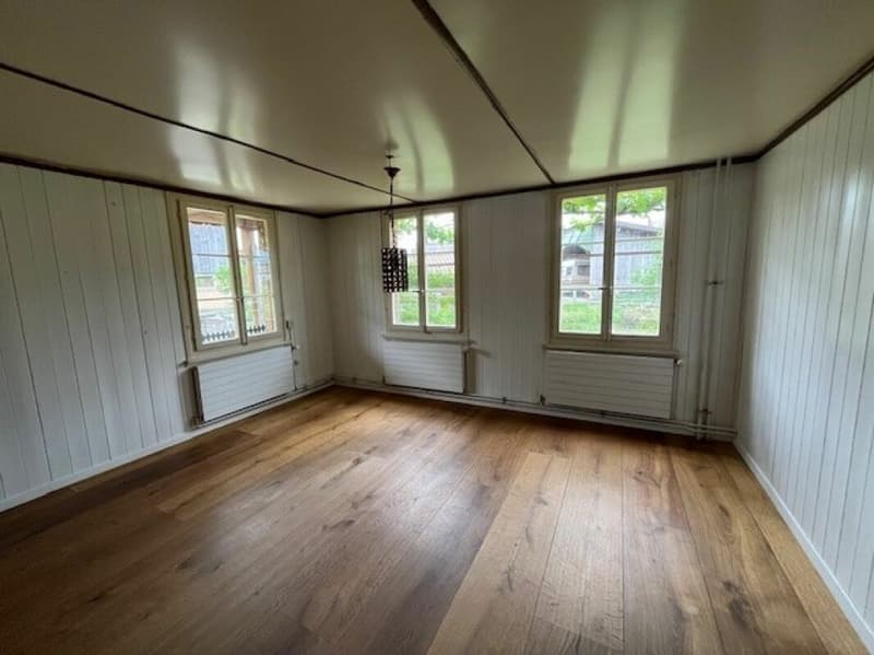 Interessantes Mehrfamilienhaus zu verkaufen (8)