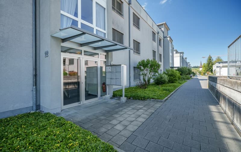 Besondere Wohnung mit Alpensicht zu verkaufen (11)