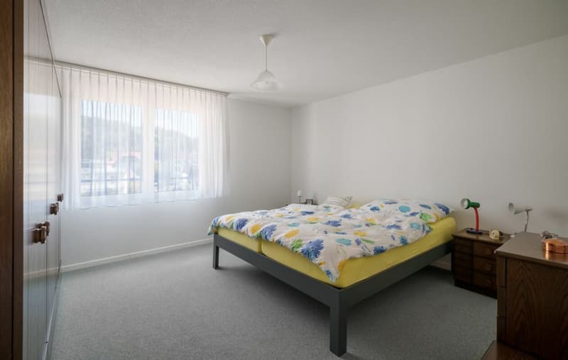 Besondere Wohnung mit Alpensicht zu verkaufen (6)