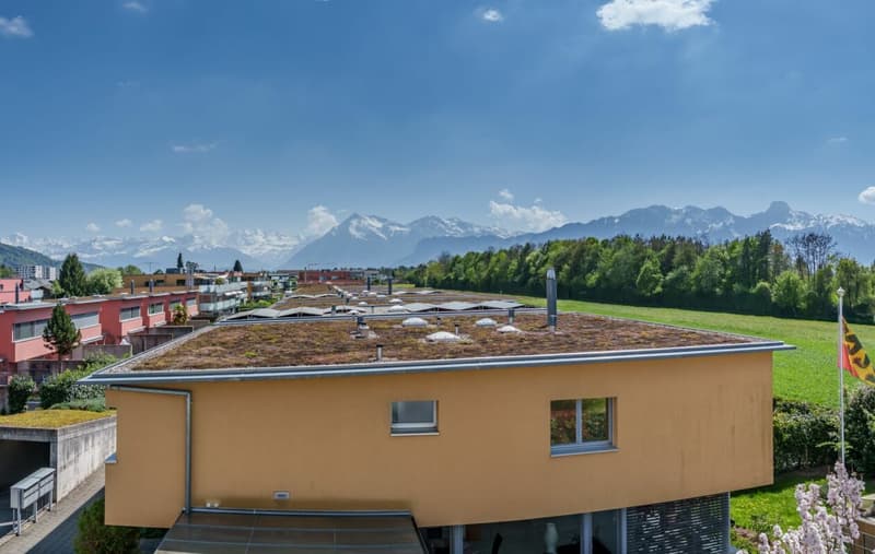 Besondere Wohnung mit Alpensicht zu verkaufen (4)