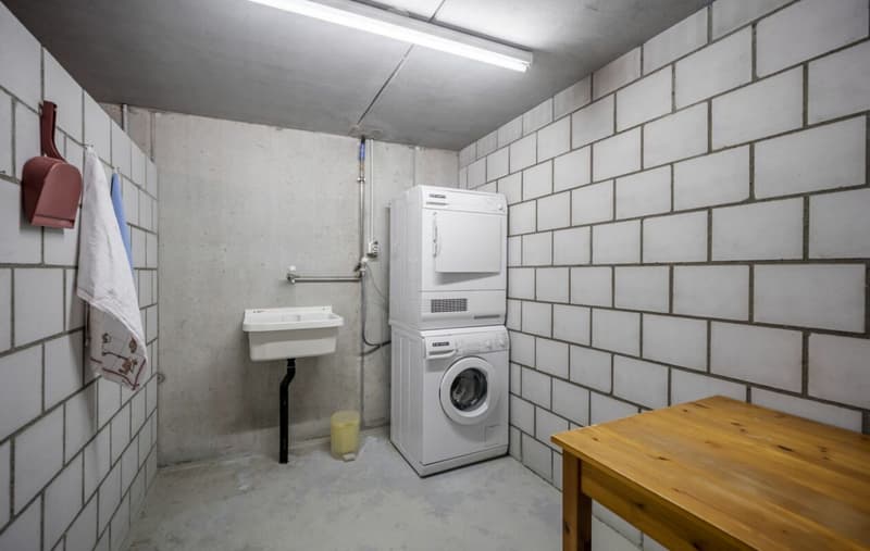 Besondere Wohnung mit Alpensicht zu verkaufen (10)