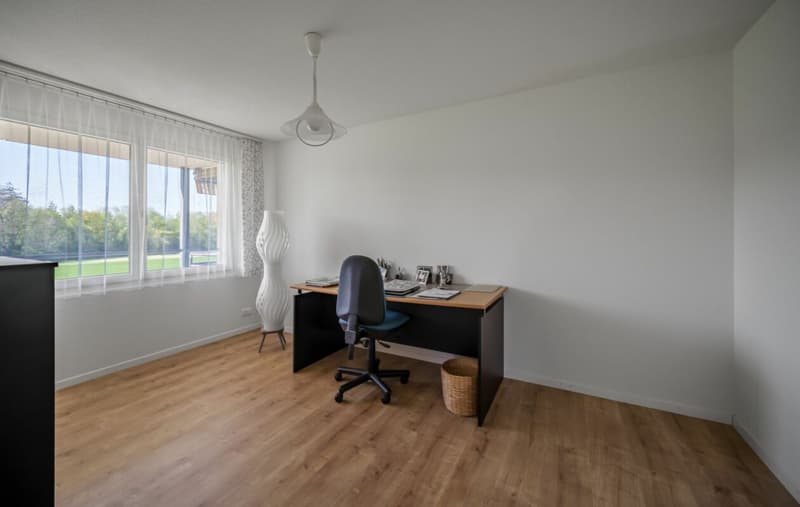 Besondere Wohnung mit Alpensicht zu verkaufen (7)