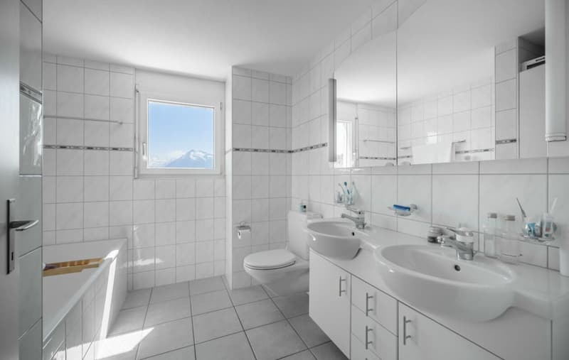 Besondere Wohnung mit Alpensicht zu verkaufen (8)