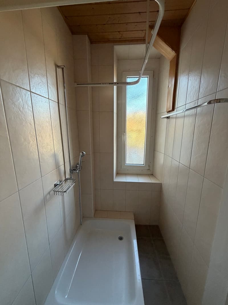 Appartement rénové de 3 pces avec terrasse (9)