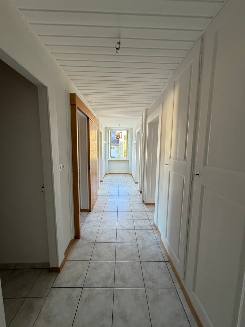Appartement rénové de 3 pces avec terrasse (4)