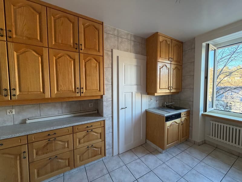 Appartement rénové de 3 pces avec terrasse (10)
