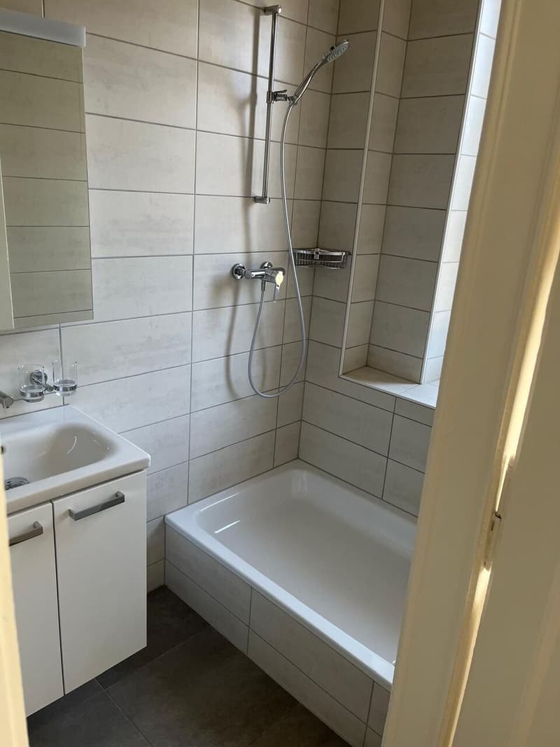 Appartement rénové de 3 pces avec garage et balcon (7)