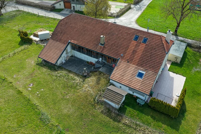 Entre chevaux et horizon urbain, la ferme que vous attendiez... (4)