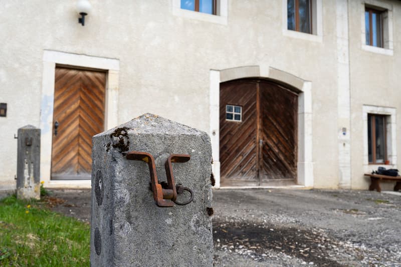 Entre chevaux et horizon urbain, la ferme que vous attendiez... (5)