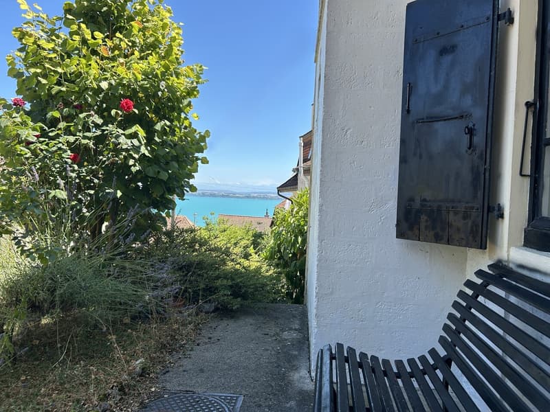 MAISON VILLAGEOISE A TRANSFORMER, VUE LAC ET CALME ASSURÉ (5)