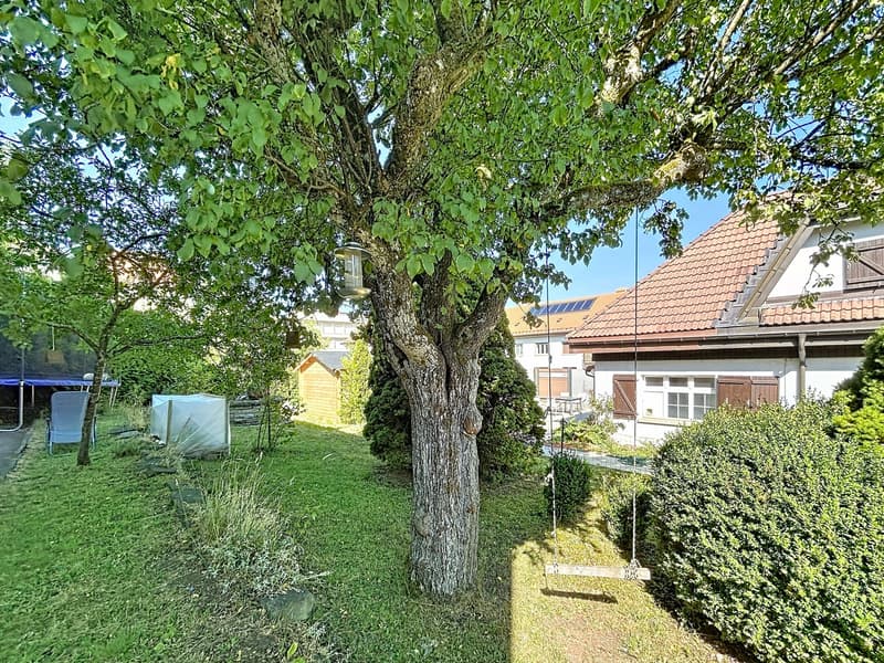 5.5 pièces avec jardin, proche de toutes les commodités (6)