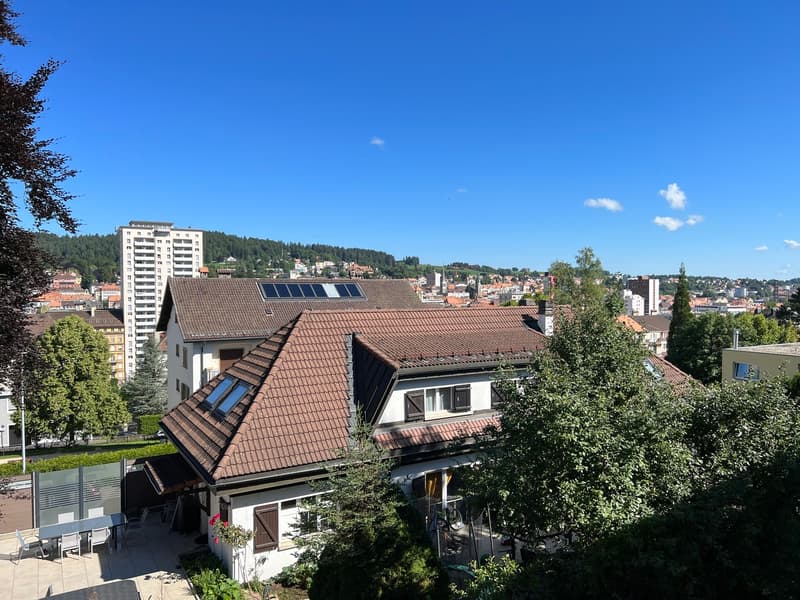 5.5 pièces avec jardin, proche de toutes les commodités (2)