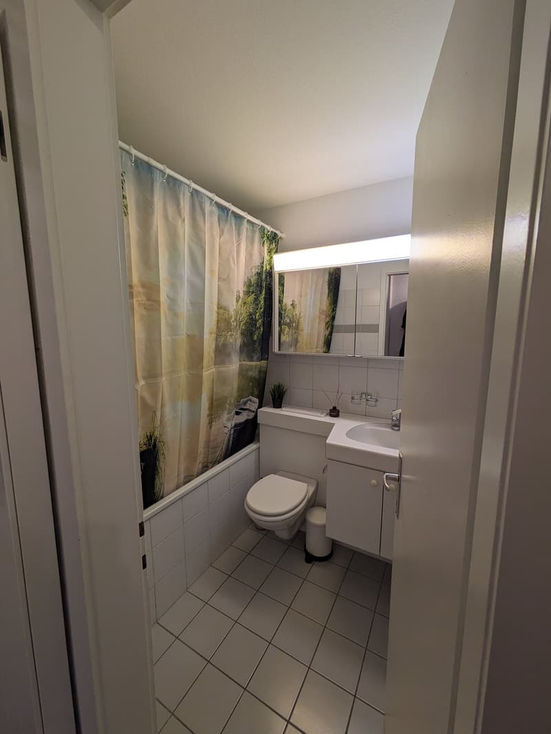 gemütliche 3,5-Zimmerwohnung mit Balkon (7)