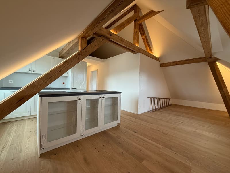 Spacious attic apartment with exposed wooden beams, hardwood floors, and a built-in cabinet with glass doors. The apartment features a cozy and rustic atmosphere with natural lighting from the windows.