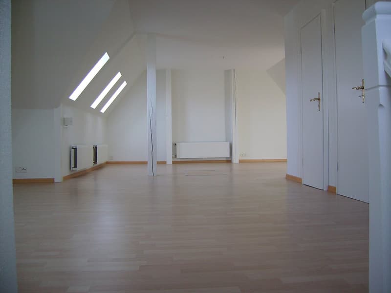 Charmante 1.5-Zimmer-Dachwohnung an der Länggassstrasse in Bern (2)