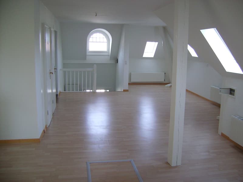 Charmante 1.5-Zimmer-Dachwohnung an der Länggassstrasse in Bern (3)