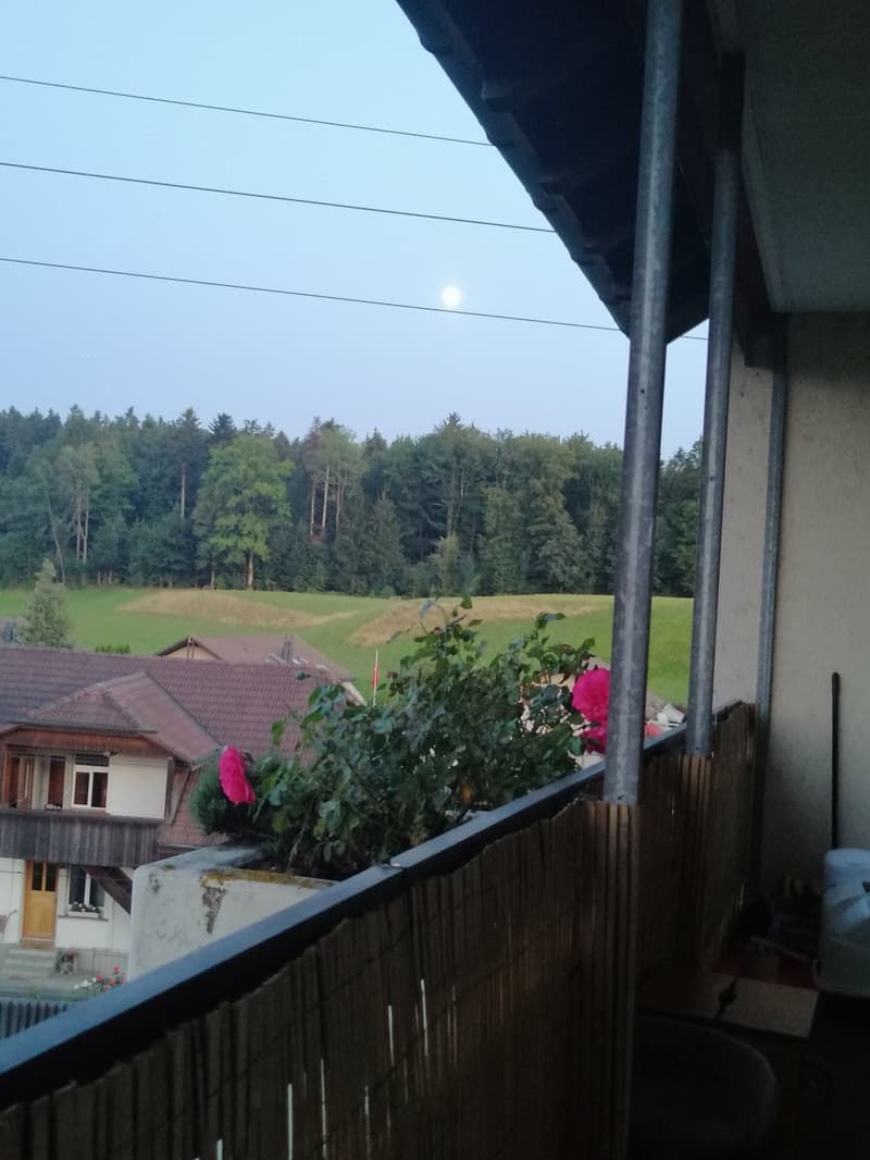 Helle 3.5-Zimmer-Wohnung mit Balkon in Lyssach – sofort verfügbar! (10)